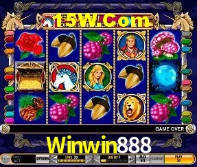 Sistemas de Segurança Winwin888